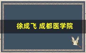 徐成飞 成都医学院